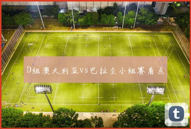 D组澳大利亚vs巴拉圭小组赛看点