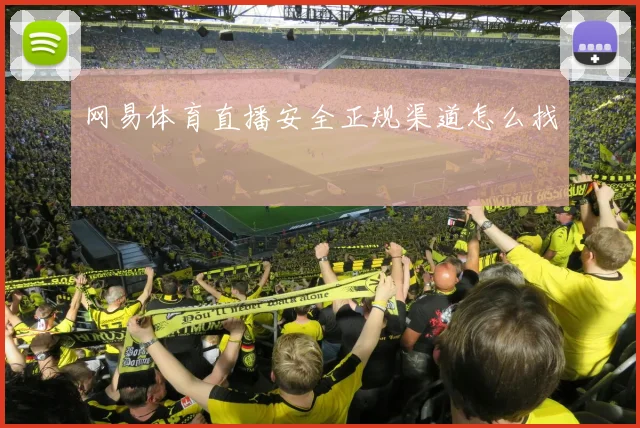 网易体育直播安全正规渠道怎么找