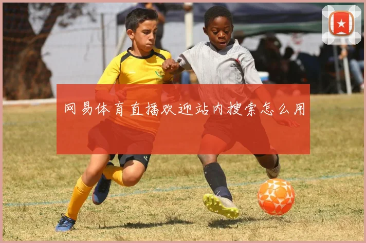 网易体育直播欢迎站内搜索怎么用