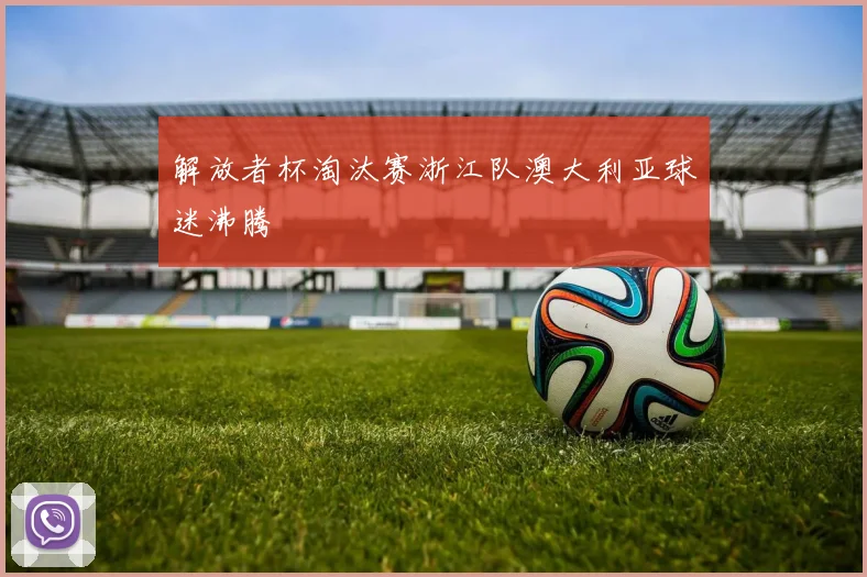 解放者杯淘汰赛浙江队澳大利亚球迷沸腾