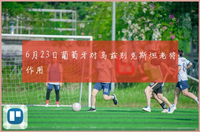 6月23日葡萄牙对乌兹别克斯坦老将作用